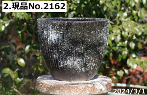 Â Iׂ@q 10^ TiT[rX(Oa30cm 25cm) My Aؔyzy ^ OzyR쑐 A T{e ~͔ ʎc AKx 򍪐A AfjE