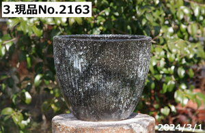 Â Iׂ@q 10^ TiT[rX(Oa30cm 25cm) My Aؔyzy ^ OzyR쑐 A T{e ~͔ ʎc AKx 򍪐A AfjE