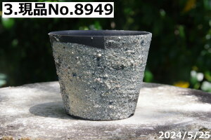 y10%OFFN[|Ώ `9/11zyyΉzMy Aؔ  Iׂ@|V[Y і 3.3ia10cm 8cmjTiT[rXyR쑐 A T{e ~͔ ʎc AKx 