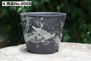 y7%OFFN[|ΏہI`12/15zMy Aؔ  Iׂ@|V[Y @3.3iOa10cm 8cmjTiT[rXyR쑐 A T{e ~͔ Ԗ؎ؕc ʎc AKx 