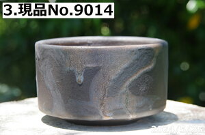 y10%OFFN[|Ώ `9/11zMy Aؔ@Iׂ R  ʃr[h 5iOa14.8cm 9.5cmjTiT[rX@yGrl tzyR쑐 A T{e ~͔ ʎc