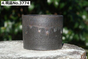 yN[|sI `10/3zMy Aؔ @Iׂ ~j ʃr[h 3.5 TiT[rXiOa11cm 8.5cmjyi~͔ ~j~͔ ^쐶zyR쑐 A T{