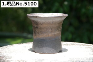 yN[|sI`11/11zт˂(N) Iׂ@ʃr[h@ZbRN 3iOa9.5cm 9cmjTiT[rX@My Aؔ @yR쑐 A T{e ~͔ 