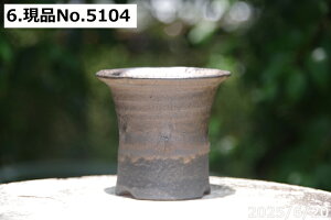 yN[|sI`11/11zт˂(N) Iׂ@ʃr[h@ZbRN 3iOa9.5cm 9cmjTiT[rX@My Aؔ @yR쑐 A T{e ~͔ 