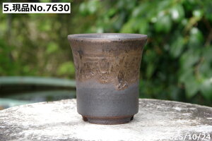 yN[|sI`11/27zIׂ т˂(N) ʃr[hؗ 3iOa9cm 10cmj TiT[rX@My Aؔ @ yR쑐 A T{e ~͔ ʎc A