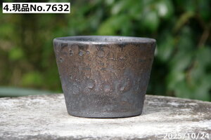 yN[|sI`11/27zyLYL̕ɂ͊zт˂(N) @Iׂ@qρ@[@3@TiT[rX@My Aؔ @yR쑐 A T{e ~