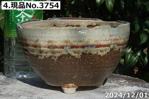 yN[|sI`11/11zMy Aؔ @Myē`H|m   (Ð哰q) т˂(N) Iׂ ؊ۑt 5 TiT[rXyR쑐 A T{e