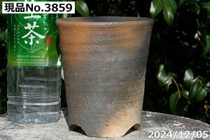 �y�ő�50%OFF�N�[�|�����s���I�z�M�y�� �A�ؔ��@�I�ׂ� ��т˂�(���N������) �Ē��� 3.8�� �T�i�T�[�r�X �y�R�쑐�� �����A���� �T�{�e���� �~�͔� �ʎ��c �A�K�x �򍪐A���z