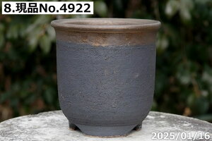 y7%OFFN[|ΏہI`12/15zyLYL̕ɂ͊zMy Aؔ @Iׂ@ʑ[@5iOa14cm 14.5cmjTiT[rXyÓT| `|AzyR쑐 A