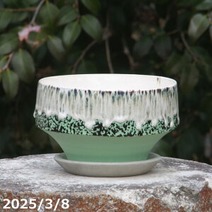 �y�ő�50%OFF�N�[�|�����s���I�z�v���X�K�[�f���@����㉺�|�����@6�� + ��M �Z�b�g�@�T�i�T�[�r�X�@�M�y�� �A�ؔ��@�y�K�[�f�j���O �ϗt�A�� �����A�� �z