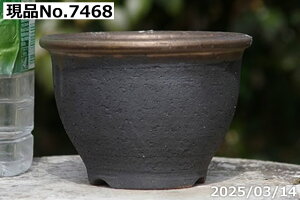 y7%OFFN[|ΏہI`12/15zMy Aؔ @Iׂ ㉺| tʒ[ 4.5iOa13.5cm 9cmj TiT[rX yR쑐 A T{e ~͔ ʎc AKx 