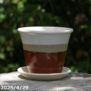 �y�ő�50%OFF�N�[�|�����s���I�z�v���X�K�[�f�� �I�L�i�|�b�g �㉺�|���� �V��/�u���E�� 4.5�� + ��M �Z�b�g �T�i�T�[�r�X �M�y�� �A�ؔ� �y�K�[�f�j���O �ϗt�A�� �����A�� �z