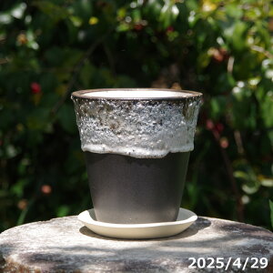 �y�ő�50%OFF�N�[�|�����s���I�z�v���X�K�[�f�� �J�T�T�M�T�E���h�|�b�g�iM�j �㉺�|���� �_�[�N�u���E�� 4.5�� + ��M �Z�b�g �T�i�T�[�r�X �M�y�� �A�ؔ� �y�K�[�f�j���O �ϗt�A�� �����A�� 