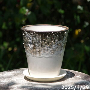 �y�ő�50%OFF�N�[�|�����s���I�z�v���X�K�[�f�� �J�T�T�M�T�E���h�|�b�g�iM�j �㉺�|���� �z���C�g 4.5�� + ��M �Z�b�g �T�i�T�[�r�X �M�y�� �A�ؔ� �y�K�[�f�j���O �ϗt�A�� �����A�� �z