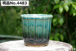 yN[|sI`11/11zIׂ KXؗ 4(Oa13.0cm 12.0cm) TiT[rX My Aؔ @yR쑐 A T{e ~͔ Ԗ؎ؕc ʎc AKx 򍪐A 