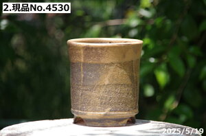 【クーポン発行中!〜10/30】選べる 切立鉄釉鉢 4号(外径12.5cm 高さ12.5cm)サナサービス 信楽焼 植木鉢 陶器【山野草鉢 多肉植物鉢 サボテン鉢 盆栽鉢 果樹苗 アガベ 塊根植物】