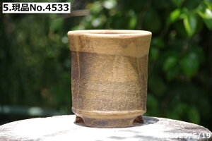 【クーポン発行中!〜10/30】選べる 切立鉄釉鉢 4号(外径12.5cm 高さ12.5cm)サナサービス 信楽焼 植木鉢 陶器【山野草鉢 多肉植物鉢 サボテン鉢 盆栽鉢 果樹苗 アガベ 塊根植物】