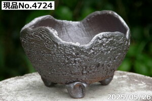 yN[|sI`11/11zIׂ q 5@ 6iOa18cm 12cmjTiT[rX@My Aؔ @yR쑐 A T{e ~͔ Ԗ؎ؕc ʎc AKx 