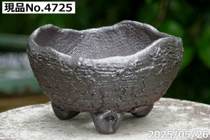 yN[|sI`11/11zIׂ q 5@ 6iOa18cm 12cmjTiT[rX@My Aؔ @yR쑐 A T{e ~͔ Ԗ؎ؕc ʎc AKx 