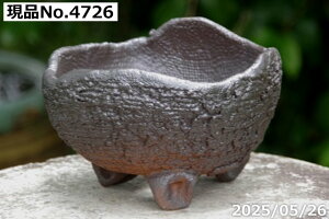 y10%OFFN[|Ώ `9/11zIׂ q 5@ 6iOa18cm 12cmjTiT[rX@My Aؔ @yR쑐 A T{e ~͔ Ԗ؎ؕc ʎc AKx 