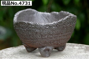 y10%OFFN[|Ώ `9/11zIׂ q 10  5iOa15.5cm 8.5-9.5cmjTiT[rX@My Aؔ @yR쑐 A T{e ~͔ Ԗ؎ؕc ʎc AKx 