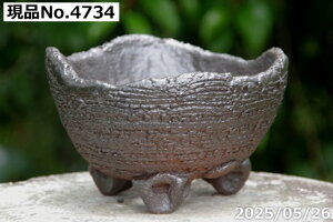 yN[|sI`11/11zIׂ q 10  5iOa15.5cm 8.5-9.5cmjTiT[rX@My Aؔ @yR쑐 A T{e ~͔ Ԗ؎ؕc ʎc AKx 