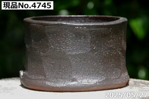 y10%OFFN[|Ώ `9/11zyLYL̕ɂ͊zÂ q@Iׂ 19 () 4.5iOa14-15cm 8cmjTiT[rX@My Aؔ @yR쑐 A T{