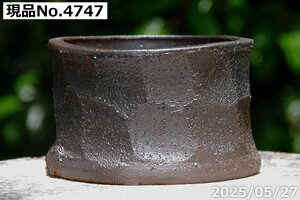 y10%OFFN[|Ώ `9/11zyLYL̕ɂ͊zÂ q@Iׂ 19 () 4.5iOa14-15cm 8cmjTiT[rX@My Aؔ @yR쑐 A T{