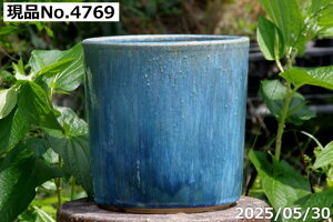 �y�ő�50%OFF�N�[�|�����s���I�z�I�ׂ� �u���[�K���X ���� 8�� �T�i�T�[�r�X �M�y�� �A�ؔ��y�R�쑐�� �����A���� �T�{�e���� �~�͔� �ʎ��c �A�K�x �򍪐A���z�y�ϗt�A���� �I���[�u ���� ��