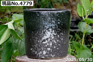 yN[|sI`11/11zIׂ q(B)  8 (Oa23cm 23cm) TiT[rX@My AؔyzyR쑐 A T{e ~͔ ʎc AKx 򍪐A Afj