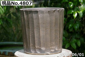 yő50%OFFN[|sIzIׂ ʃXgCv  8@TiT[rX@My Aؔ@yzyR쑐 A T{e ~͔ ʎc AKx 򍪐A AfjE