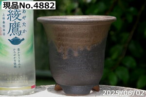 y10%OFFN[|Ώ `9/11zIׂ ኄ(y[) ʃr[h 4iOa12-13cm 12-12.5cmj TiT[rX My Aؔ  yR쑐 A T{e ~͔ ʎc AK