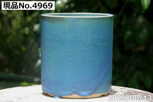 y10%OFFN[|Ώ `9/11zIׂ gRu[ (B) 4iOa12.5cm 13.5cmjTiT[rX My Aؔ yR쑐 A T{e ~͔ Ԗ؎ؕc ʎc AKx 