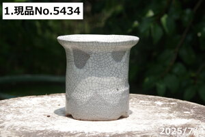 yN[|sI`11/11zyLYL̕ɂ͊zIׂ т˂(N) }bgZbRN 3ia9.5cm 9.5cmjMy Aؔ @yR쑐 A T{e