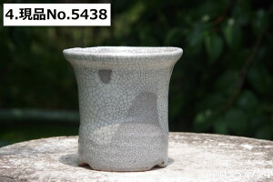 y10%OFFN[|Ώ `9/11zyLYL̕ɂ͊zIׂ т˂(N) }bgZbRN 3ia9.5cm 9.5cmjMy Aؔ @yR쑐 A T{e