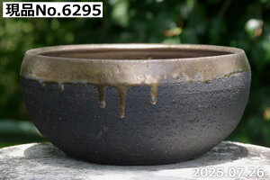 yN[|sI`11/11zIׂ ʒ[ 7@TiT[rX@My Aؔ@yR쑐 A T{e ~͔ ʎc AKx 򍪐Az