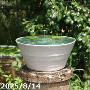 yi_No.6788z}bg 12 My @ @yzyZbg  _J  nX q@ rIg[v XC A JLco^z