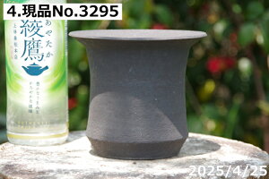 �y�ő�50%OFF�N�[�|�����s���I�z�I�ׂ�@���S��(���q��) �[�\��(L) 5�� �T�i�T�[�r�X�@�M�y�� �A�ؔ� ����@�y�R�쑐�� �����A���� �T�{�e���� �~�͔� �ʎ��c �A�K�x �򍪐A���z