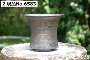 yN[|sI`11/11zт˂(N)@Iׂ@RQ qρ@5@TiT[rX@My Aؔ yR쑐 A T{e ~͔ Ԗ؎ؕc ʎc AKx 