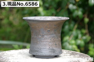 yN[|sI`11/11zт˂(N)@Iׂ@RQ qρ@5@TiT[rX@My Aؔ yR쑐 A T{e ~͔ Ԗ؎ؕc ʎc AKx 