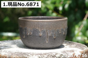 y7%OFFN[|ΏہI`12/15zIׂ ʃr[hK 5iOa14.5cm 8.8cmjTiT[rX@My Aؔ @yGrl tzyR쑐 A T{e ~͔ ʎc 