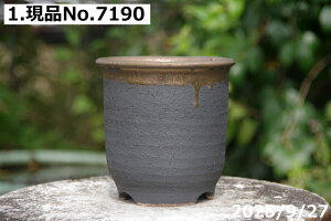 yN[|sI`11/11zIׂ ʑ[ 4iOa12cm 12cmjTiT[rX @My Aؔ @yÓT| `|AzyR쑐 A T{e ~͔ ʎc 