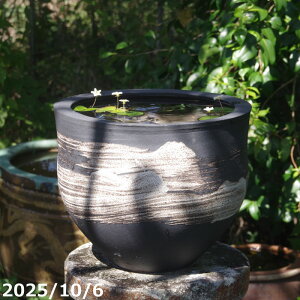 yi_No.7403z т˂iNjі [^11 iOa32cm 26cmjMy @@yzy _J  nX q@ rIg[v XC A