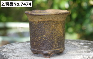 選べる ソリひねり鉄釉鉢 3.5号(外径10.5cm 高さ10cm)信楽焼 植木鉢 陶器 【山野草鉢 多肉植物鉢 サボテン鉢 盆栽鉢 花木樹木苗 果樹苗 アガベ 塊根植物 珍奇植物 ビザールプランツ