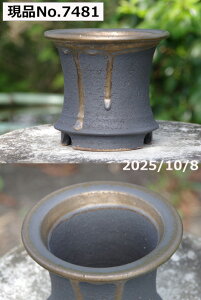 yN[|sI`11/11zIׂ  Ig(N) 5@(Oa14.5cm 13cm)TiT[rX@My Aؔ@yR쑐 A T{e ~͔ ʎc AKx 򍪐Az