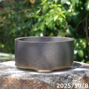 金彩 足付浅鉢 5.5号 サナサービス 信楽焼 植木鉢 陶器 【山野草鉢 多肉植物鉢 サボテン鉢 盆栽鉢 果樹苗 アガベ 塊根植物】