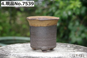 Iׂ@\Ђ˂S֔ 3.5iOa10.5cm 10cmjMy Aؔ @yR쑐 A T{e ~͔ Ԗ؎ؕc@ʎc@AKx@򍪐A@A@rU[vc