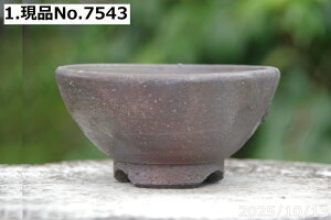 yN[|sI`11/27zт˂(N) @Iׂ@qϊ۔ 4iOa12.5cm 7cmjMy Aؔ @yR쑐 A T{e ~͔ Ԗ؎ؕc@ʎc@AKx