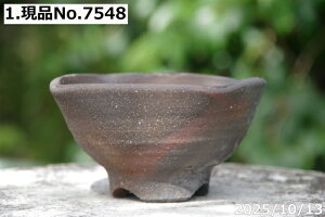 yő50%OFFN[|sIzт˂(N)@Iׂ@qώl 4iOa12.5cm@6.5cmjMy Aؔ @yR쑐 A T{e ~͔ Ԗ؎ؕc@ʎc@