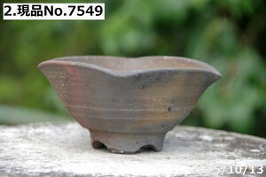 yN[|sI`11/11zт˂(N)@Iׂ@qώl 4iOa12.5cm@6.5cmjMy Aؔ @yR쑐 A T{e ~͔ Ԗ؎ؕc@ʎc@A